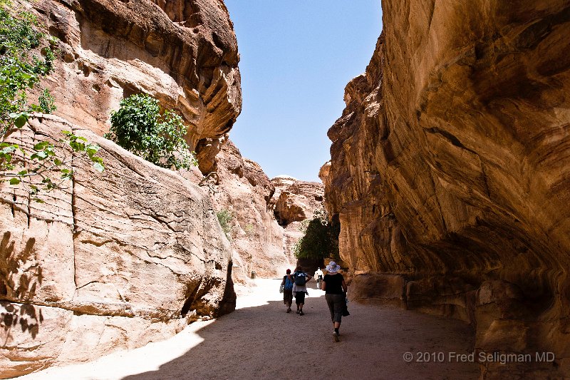 20100412_115126 D3.jpg - We then proceed  steeply down through a dark, narrow gorge (in places only 10-12 feet  wide) called the Siq ("the shaft"), a natural geological feature formed from a deep split in the sandstone rocks and which serves as a waterway flowing into the valley